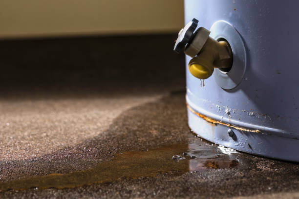 Trusted Medina, WA Water damage restoration Experts