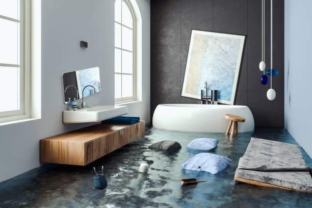 Best Mold removal after water damage  in Medina, WA