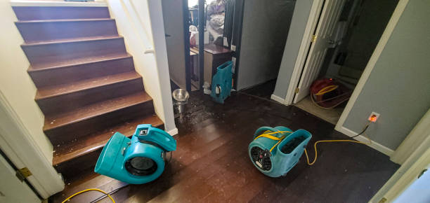 Best Flood damage cleanup  in Medina, WA