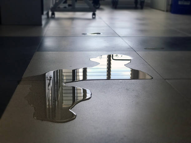 Best Water damage contractors near me  in Medina, WA
