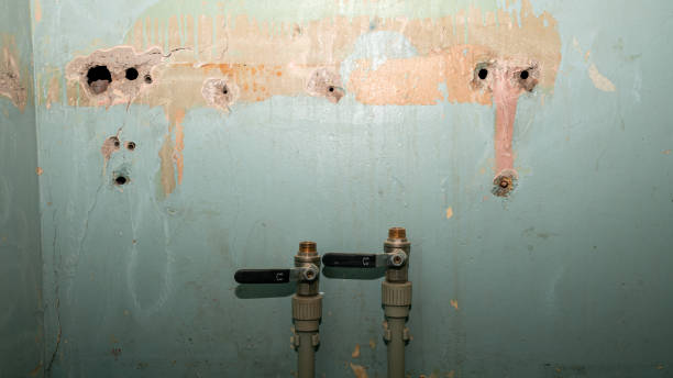 Best Residential water damage restoration  in Medina, WA